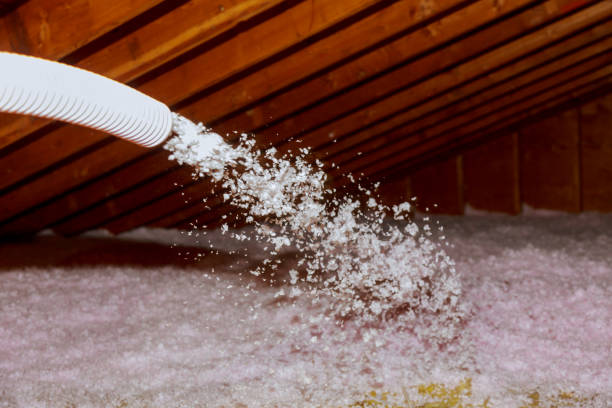 Best Best Insulation Companies  in Hebron, PA